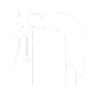 N - Neurociência